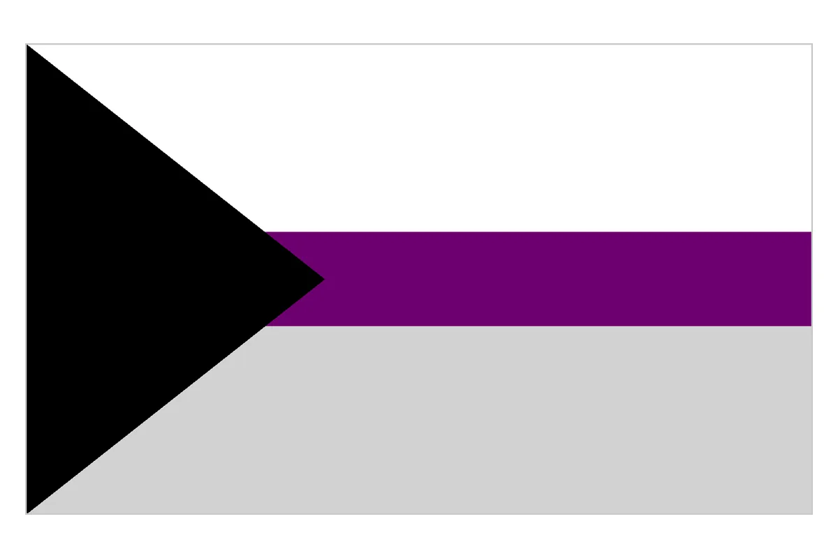 The demisexual pride flag: a black chevron at the hoist with white, purple and grey stripes