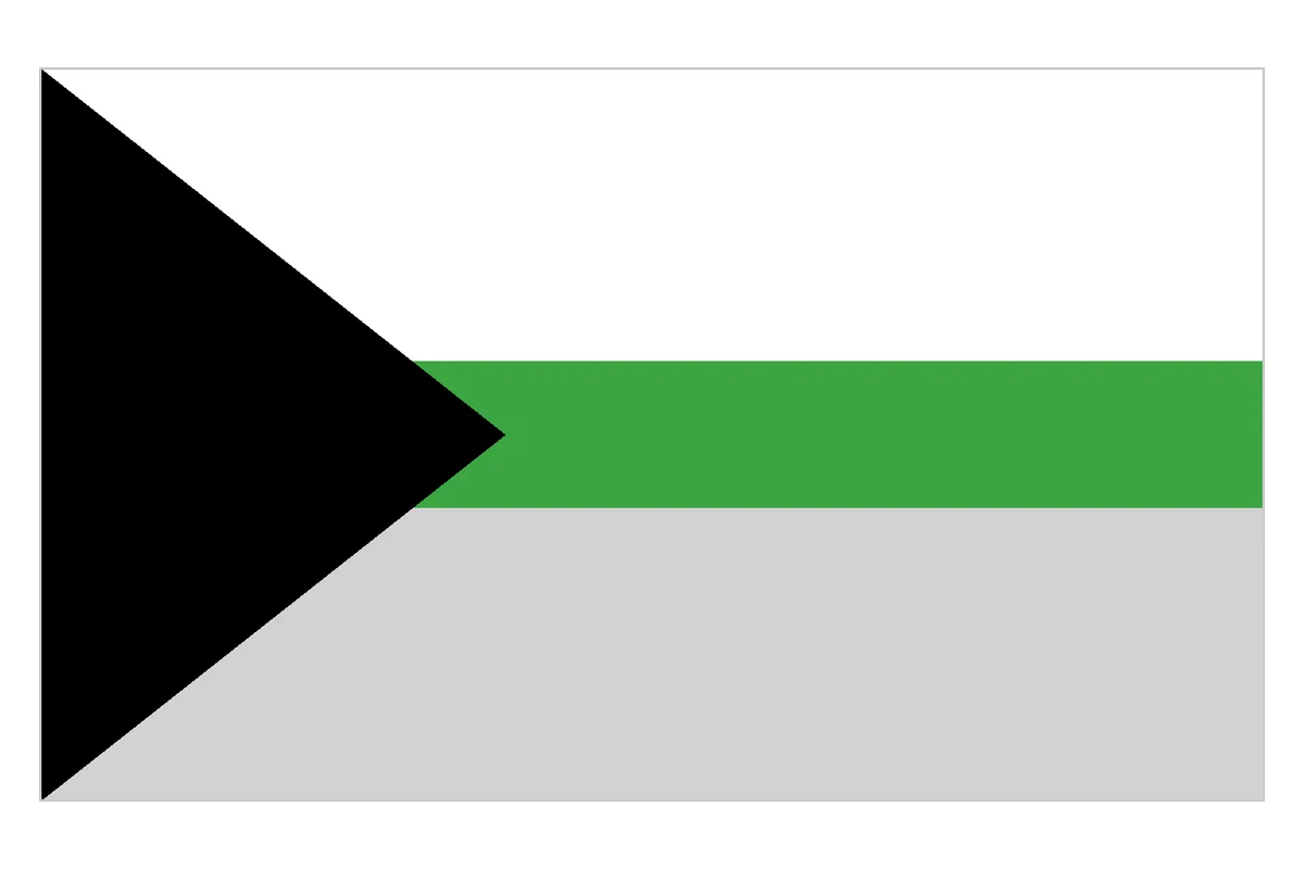 The demiromantic pride flag: a black chevron with white, green and grey stripes